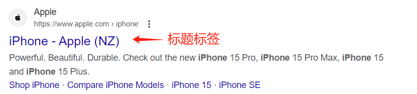 seo标题标签的显示位置
